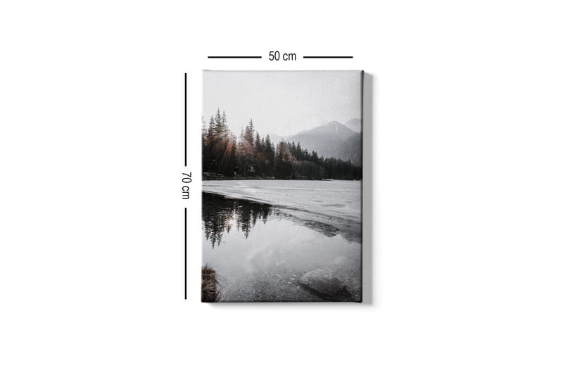 Canvastavla - Vacker vinterlandskap med frusna sjöar och snötäckta berg - Grå / Vit / Mörkgrön - Inredning - Tavlor & konst - Canvastavlor