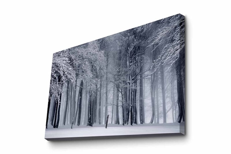 Canvastavla - Vintrig skog med snöklädda träd, Vit / Grå / Svart