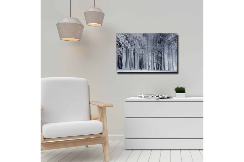 Canvastavla - Vintrig skog med snöklädda träd - Vit / Grå / Svart - Inredning - Tavlor & konst - Canvastavlor