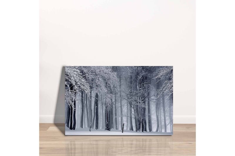 Canvastavla - Vintrig skog med snöklädda träd - Vit / Grå / Svart - Inredning - Tavlor & konst - Canvastavlor