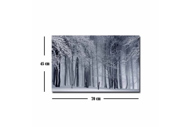 Canvastavla - Vintrig skog med snöklädda träd - Vit / Grå / Svart - Inredning - Tavlor & konst - Canvastavlor