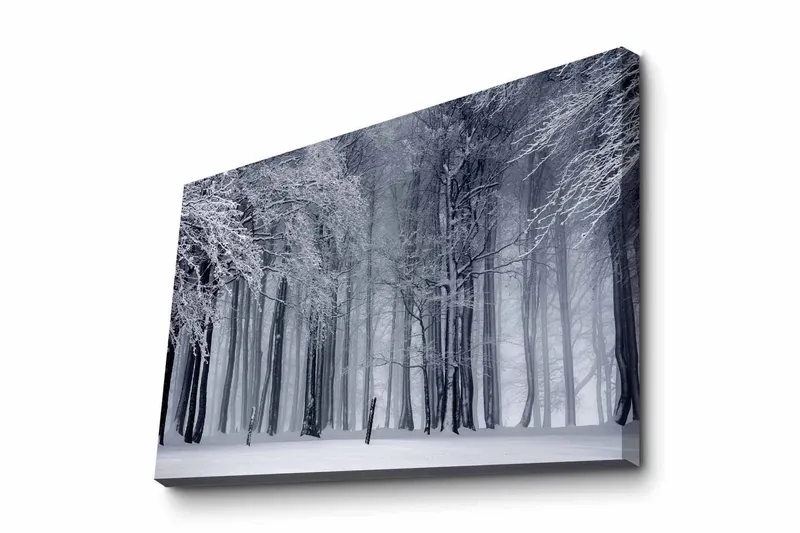 Canvastavla - Vintrig skog med snöklädda träd, Vit / Grå / Svart