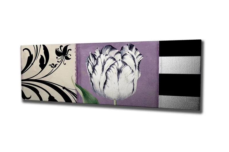 Canvastavla - Vit tulpan mot lila bakgrund, Vit / Lila / Svart