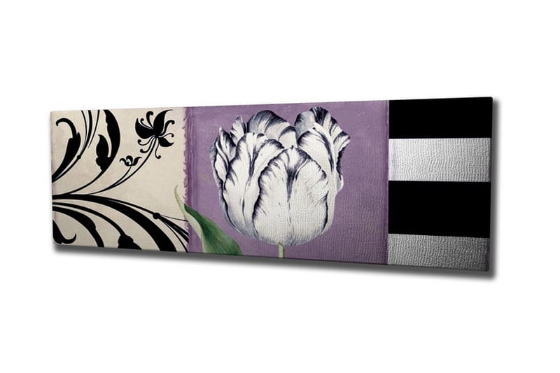 Canvastavla - Vit tulpan mot lila bakgrund, Vit / Lila / Svart