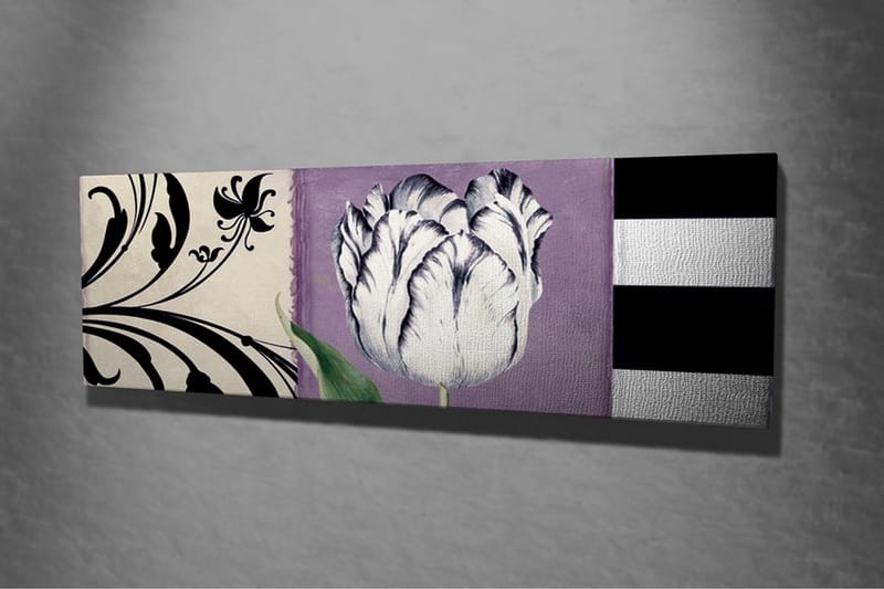 Canvastavla - Vit tulpan mot lila bakgrund - Vit / Lila / Svart - Inredning - Tavlor & konst - Canvastavlor