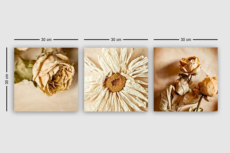 Canvastavla VP Italy 3-pack Flerfärgad - 30x30 cm - Inredning - Tavlor & konst - Canvastavlor