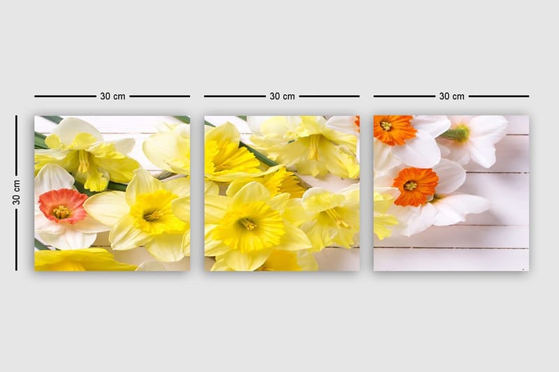 Canvastavla VP Italy 3-pack Flerfärgad - 30x30 cm - Inredning - Tavlor & konst - Canvastavlor