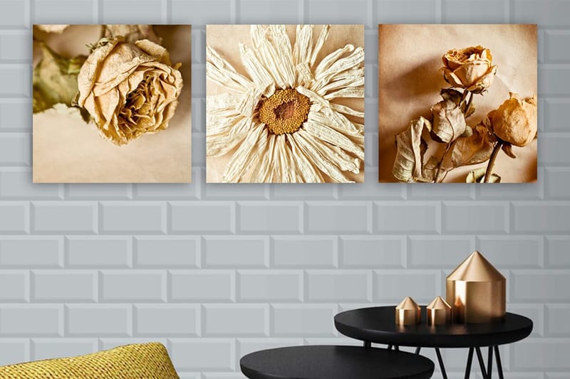 Canvastavla VP Italy 3-pack Flerfärgad, 30x30 cm