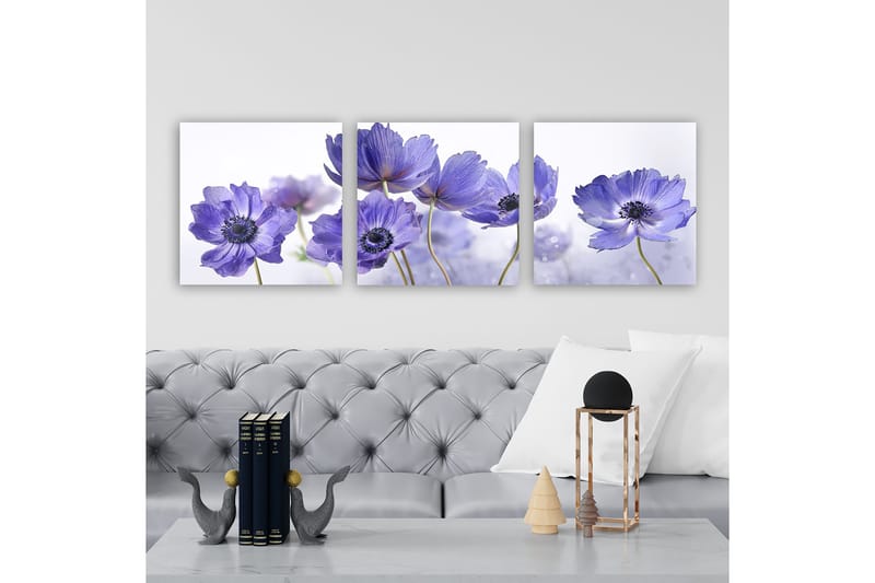 Canvastavla VP Italy 3-pack Flerfärgad - 30x30 cm - Inredning - Tavlor & konst - Canvastavlor