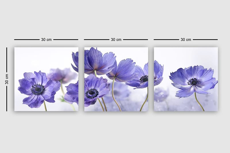 Canvastavla VP Italy 3-pack Flerfärgad - 30x30 cm - Inredning - Tavlor & konst - Canvastavlor