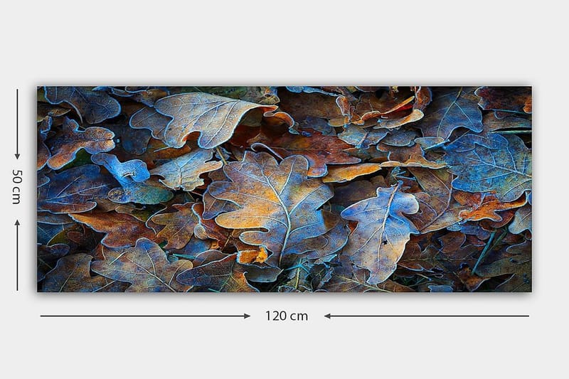 Canvastavla YTY Abstract & Fractals Flerfärgad - 120x50 cm - Inredning - Tavlor & konst - Canvastavlor