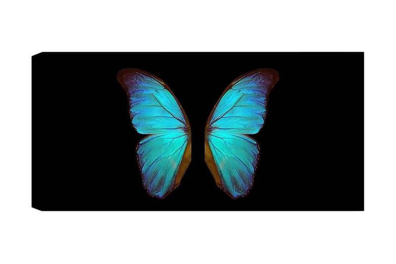 Canvastavla YTY Animals Flerfärgad, 120x50 cm