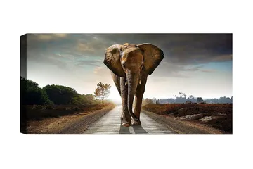 Canvastavla YTY Animals Flerfärgad - 120x50 cm - Inredning - Tavlor & konst - Canvastavlor
