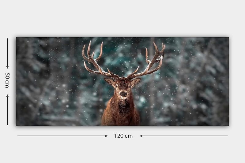 Canvastavla YTY Animals Flerfärgad - 120x50 cm - Inredning - Tavlor & konst - Canvastavlor