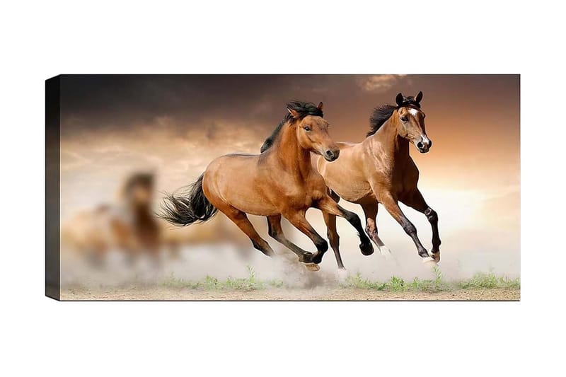 Canvastavla YTY Animals Flerfärgad - 120x50 cm - Inredning - Tavlor & konst - Canvastavlor