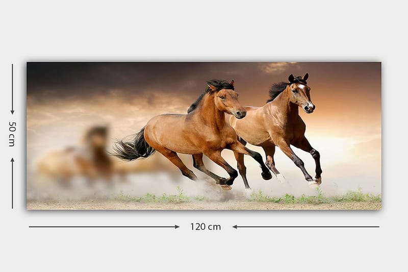 Canvastavla YTY Animals Flerfärgad - 120x50 cm - Inredning - Tavlor & konst - Canvastavlor