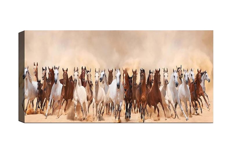 Canvastavla YTY Animals Flerfärgad - 120x50 cm - Inredning - Tavlor & konst - Canvastavlor
