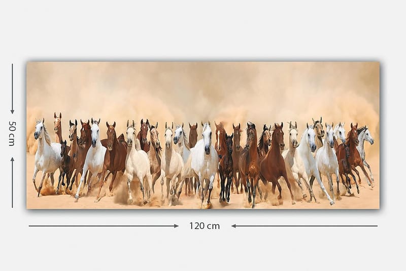 Canvastavla YTY Animals Flerfärgad - 120x50 cm - Inredning - Tavlor & konst - Canvastavlor