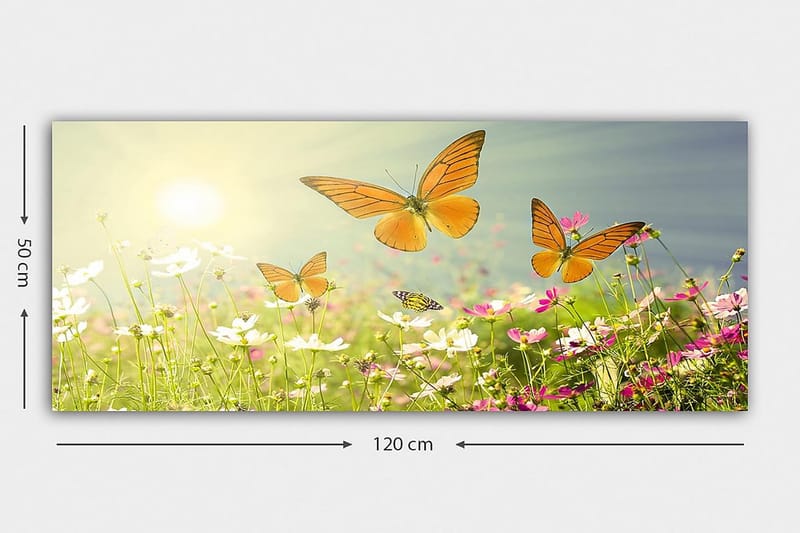 Canvastavla YTY Animals Flerfärgad - 120x50 cm - Inredning - Tavlor & konst - Canvastavlor