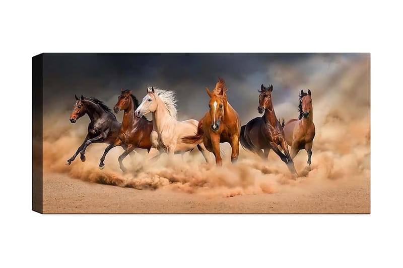 Canvastavla YTY Animals Flerfärgad - 120x50 cm - Inredning - Tavlor & konst - Canvastavlor