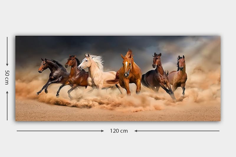 Canvastavla YTY Animals Flerfärgad - 120x50 cm - Inredning - Tavlor & konst - Canvastavlor