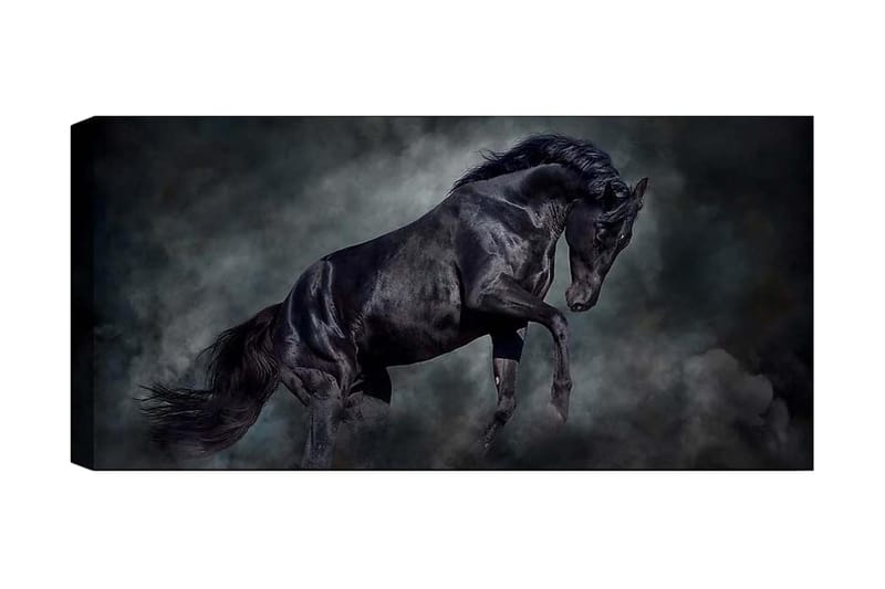 Canvastavla YTY Animals Flerfärgad - 120x50 cm - Inredning - Tavlor & konst - Canvastavlor