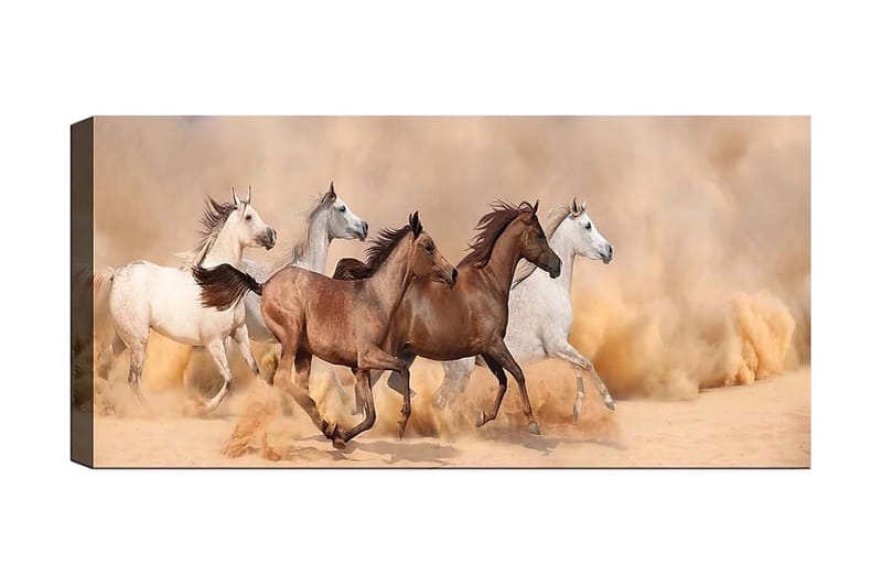 Canvastavla YTY Animals Flerfärgad - 120x50 cm - Inredning - Tavlor & konst - Canvastavlor
