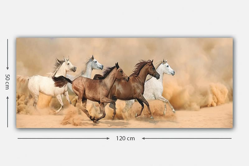 Canvastavla YTY Animals Flerfärgad - 120x50 cm - Inredning - Tavlor & konst - Canvastavlor