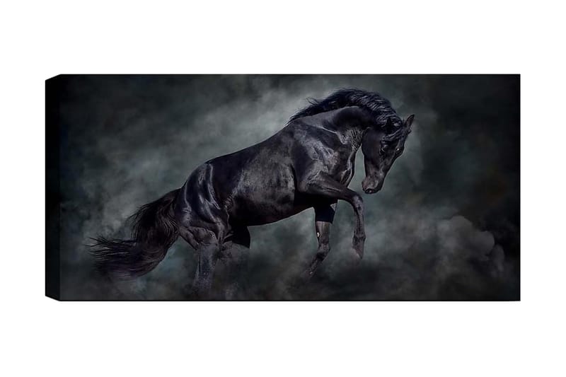 Canvastavla YTY Animals Flerfärgad - 120x50 cm - Inredning - Tavlor & konst - Canvastavlor
