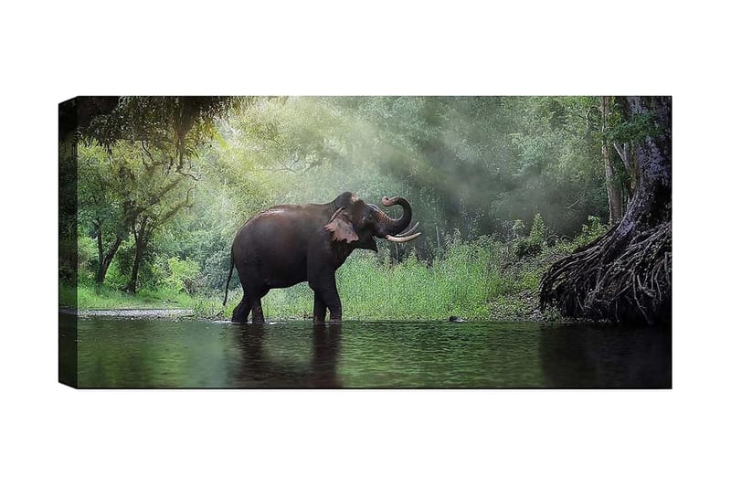 Canvastavla YTY Animals Flerfärgad - 120x50 cm - Inredning - Tavlor & konst - Canvastavlor