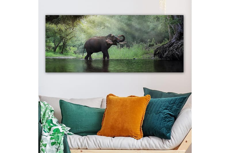 Canvastavla YTY Animals Flerfärgad - 120x50 cm - Inredning - Tavlor & konst - Canvastavlor