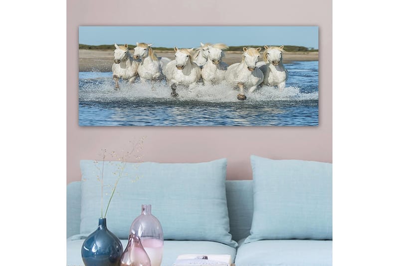 Canvastavla YTY Animals Flerfärgad - 120x50 cm - Inredning - Tavlor & konst - Canvastavlor