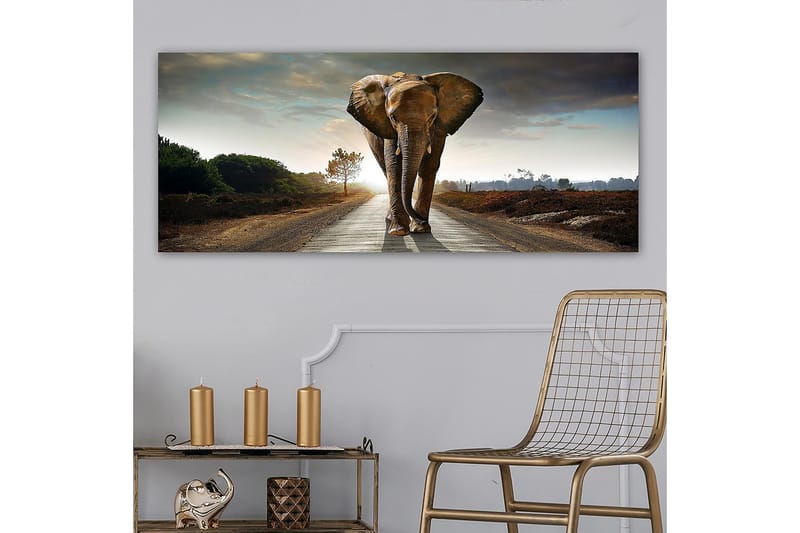 Canvastavla YTY Animals Flerfärgad - 120x50 cm - Inredning - Tavlor & konst - Canvastavlor