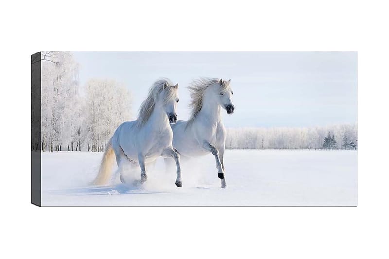 Canvastavla YTY Animals Flerfärgad - 120x50 cm - Inredning - Tavlor & konst - Canvastavlor