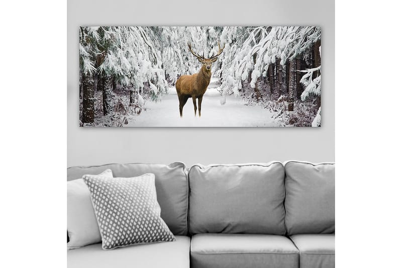 Canvastavla YTY Animals Flerfärgad - 120x50 cm - Inredning - Tavlor & konst - Canvastavlor