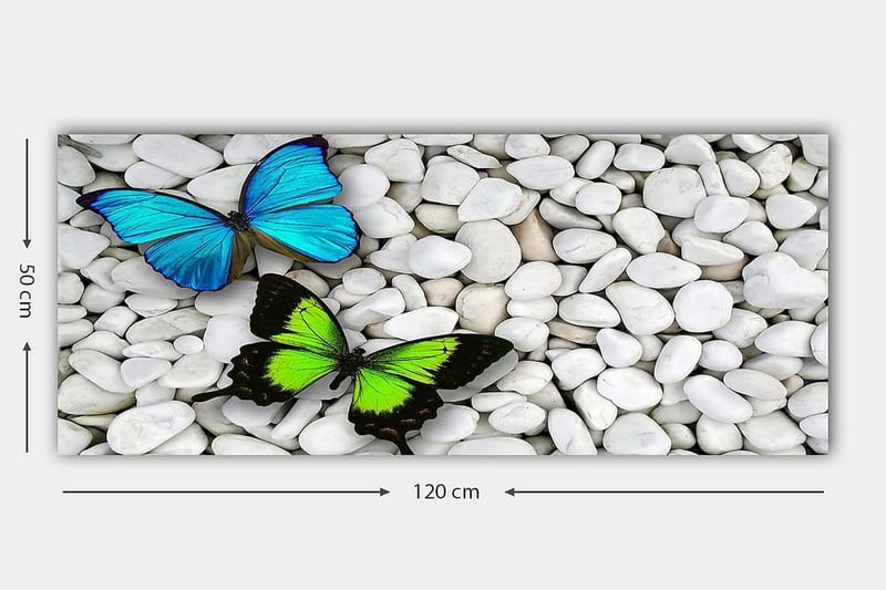 Canvastavla YTY Animals Flerfärgad - 120x50 cm - Inredning - Tavlor & konst - Canvastavlor