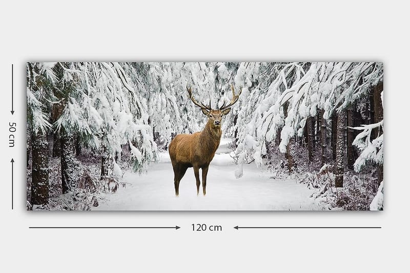 Canvastavla YTY Animals Flerfärgad - 120x50 cm - Inredning - Tavlor & konst - Canvastavlor