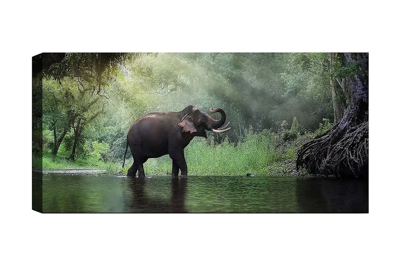 Canvastavla YTY Animals Flerfärgad, 120x50 cm