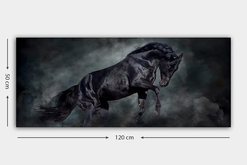 Canvastavla YTY Animals Flerfärgad - 120x50 cm - Inredning - Tavlor & konst - Canvastavlor