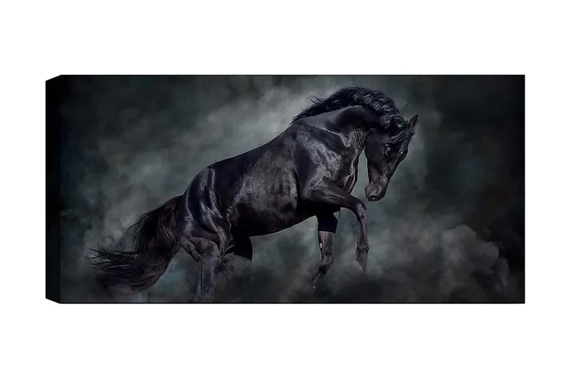 Canvastavla YTY Animals Flerfärgad, 120x50 cm