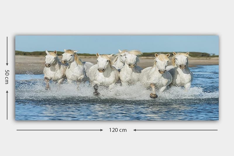 Canvastavla YTY Animals Flerfärgad - 120x50 cm - Inredning - Tavlor & konst - Canvastavlor