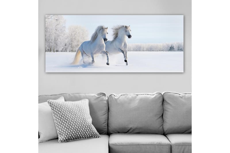 Canvastavla YTY Animals Flerfärgad - 120x50 cm - Inredning - Tavlor & konst - Canvastavlor