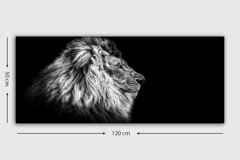 Canvastavla YTY Animals Flerfärgad - 120x50 cm - Inredning - Tavlor & konst - Canvastavlor