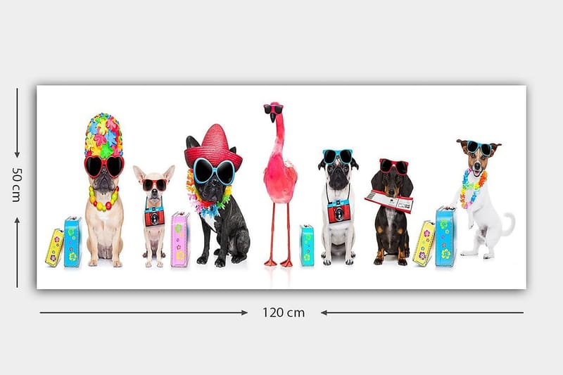Canvastavla YTY Animals Flerfärgad - 120x50 cm - Inredning - Tavlor & konst - Canvastavlor