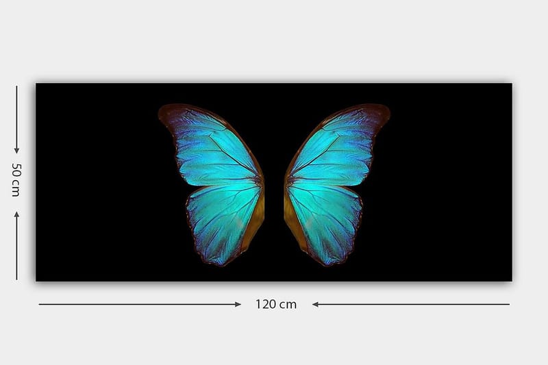 Canvastavla YTY Animals Flerfärgad - 120x50 cm - Inredning - Tavlor & konst - Canvastavlor