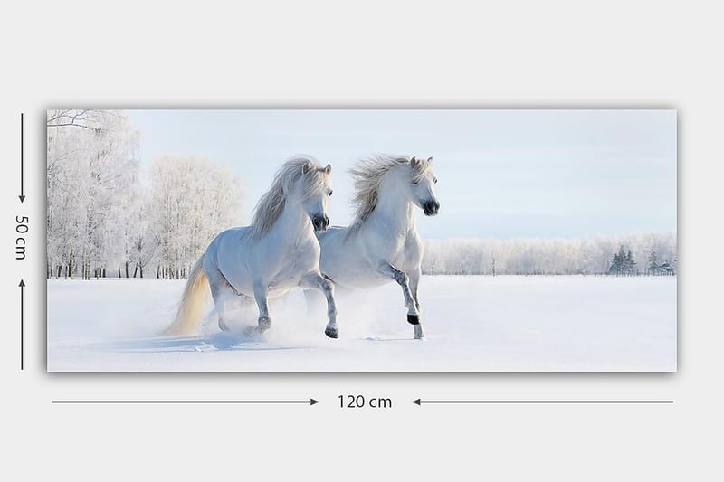 Canvastavla YTY Animals Flerfärgad - 120x50 cm - Inredning - Tavlor & konst - Canvastavlor