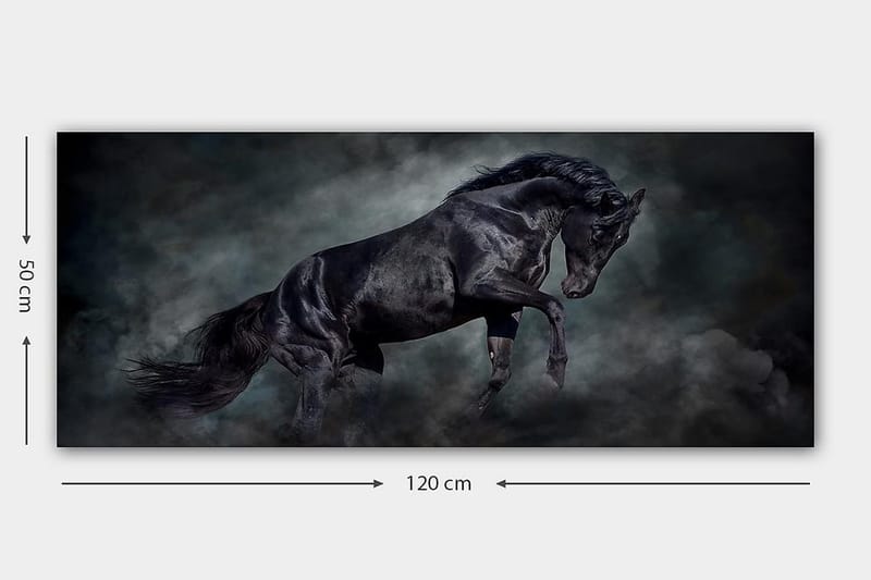 Canvastavla YTY Animals Flerfärgad - 120x50 cm - Inredning - Tavlor & konst - Canvastavlor