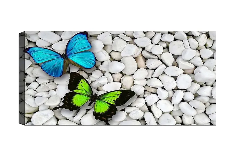 Canvastavla YTY Animals Flerfärgad, 120x50 cm