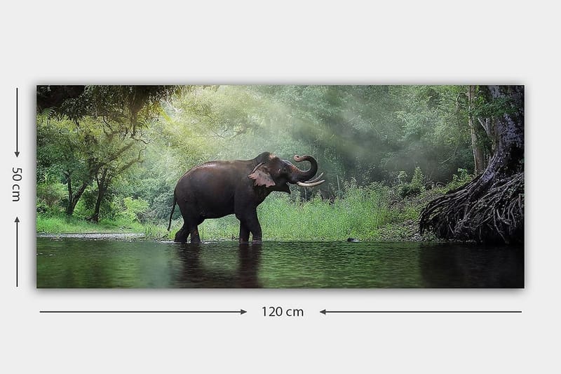 Canvastavla YTY Animals Flerfärgad - 120x50 cm - Inredning - Tavlor & konst - Canvastavlor