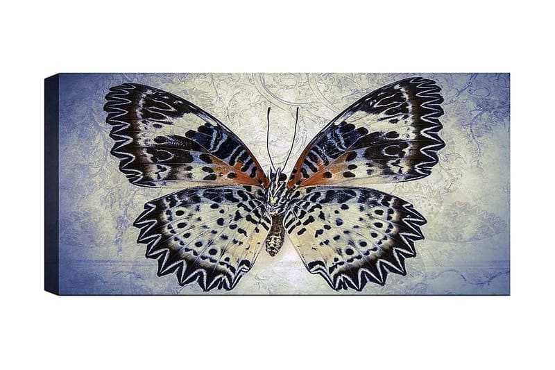 Canvastavla YTY Animals Flerfärgad, 120x50 cm